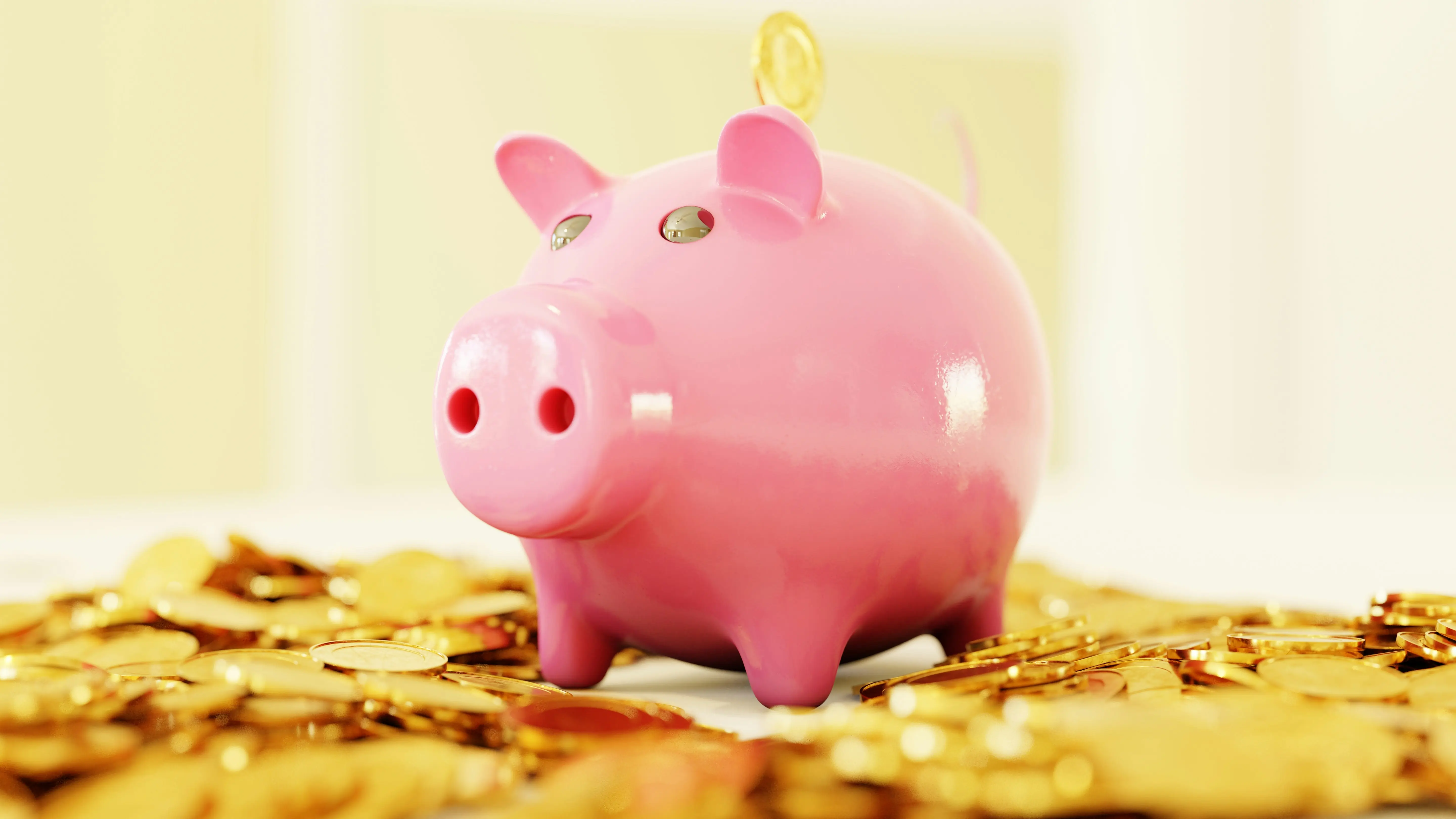 your budget banner