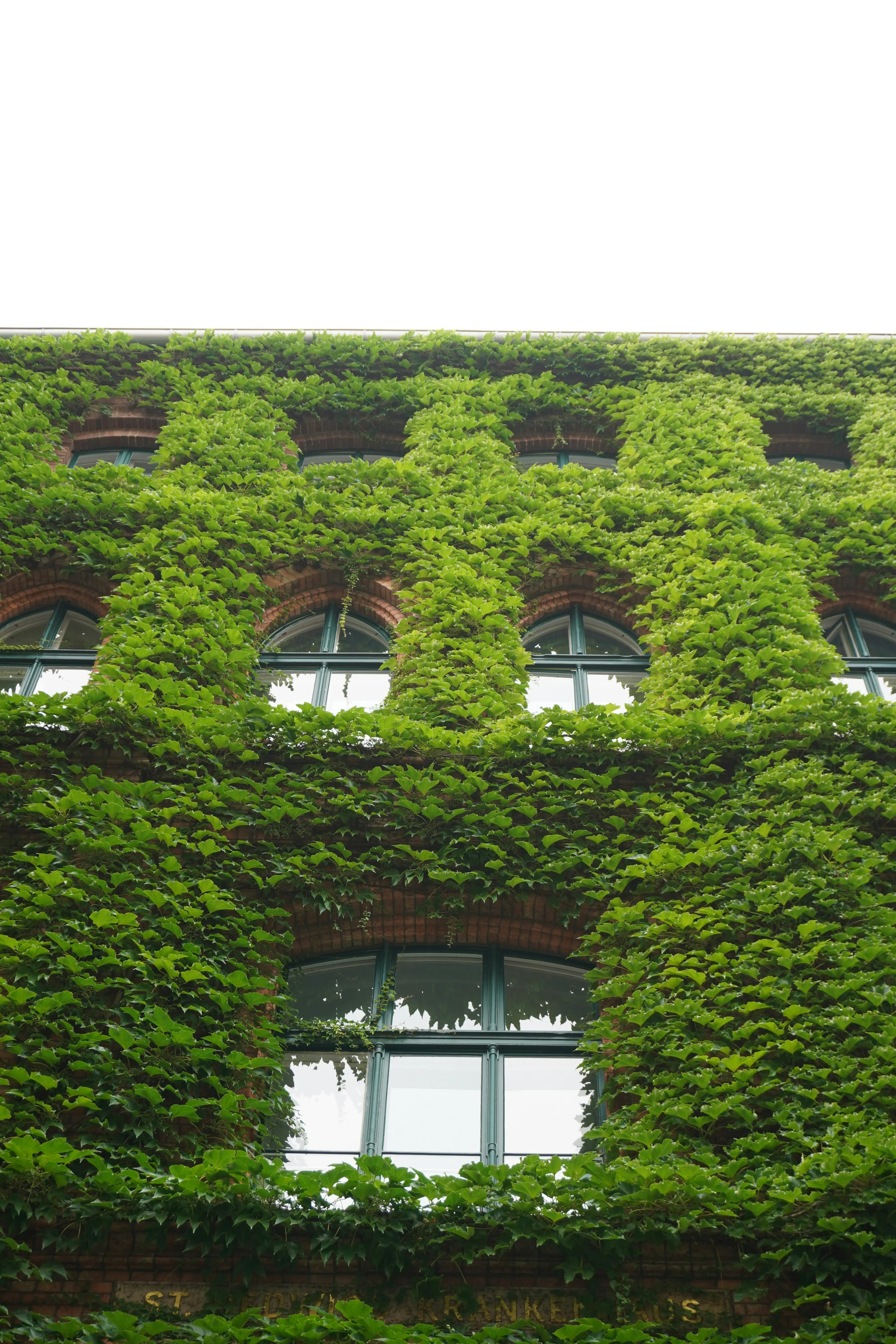 Rise of Biophilic Art banner