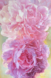 Breath of Peonies