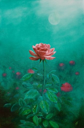 Rose and rain tears