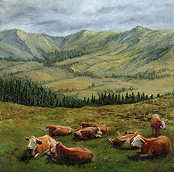 Cows resting in the mountains